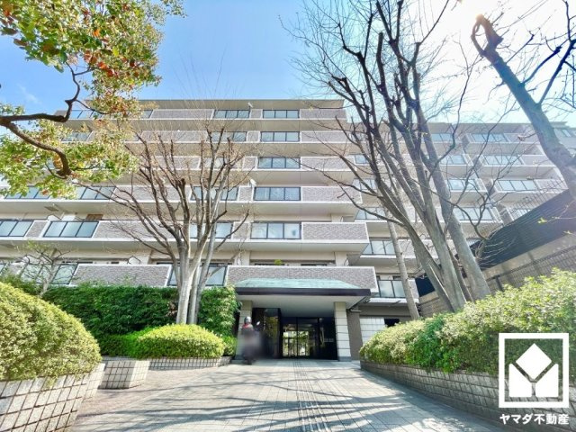 外観：326000241265