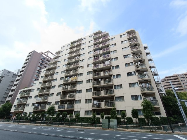 外観：313004848525