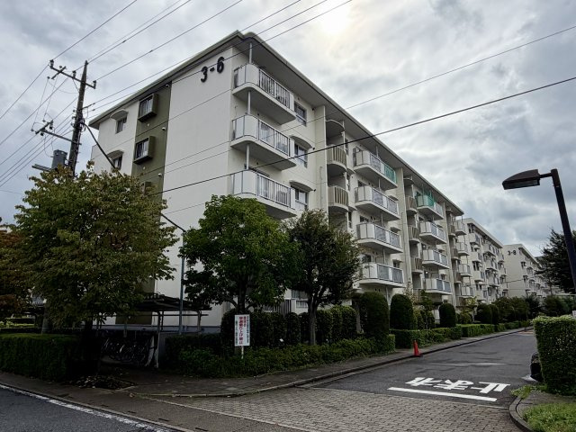 外観：311002487380