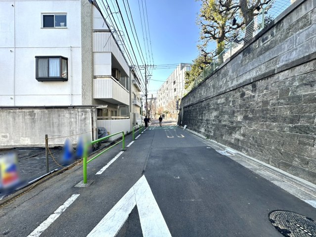 2026年1月12日撮影