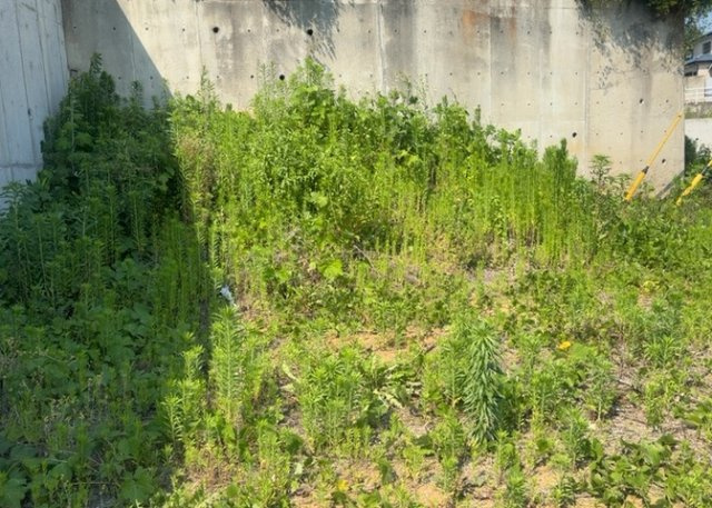 土地の形が極端に長細かったり、狭小地、あるいは道路との高低差がある傾斜地だった場合、後々売ろうとしても買い手がつかない場合もあります。後々、売却することになった時に価値の下がらない土地を選びましょう。