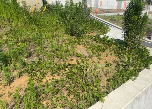 土地の面積＝住宅面積ではありません。建ぺい率の問題などで、土地のある場所によって住宅を建てられる面積は限られています。高さもしかり、「土地」という言葉の中には、建築条件も含まれると考えておきましょう。
