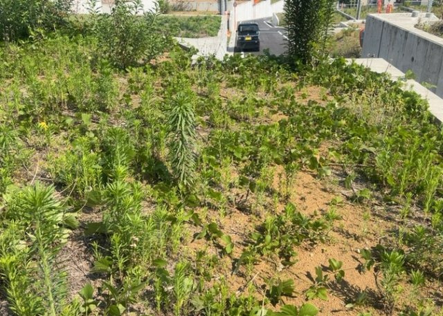 土地を買う際、住む地域の自治体や福祉の補助制度にも注目してみましょう。子供や老人の医療補助やゴミ出しのルールなど、自治体によってルールに大きな違いがあるため、暮らしやすい土地で判断するとよいでしょう。