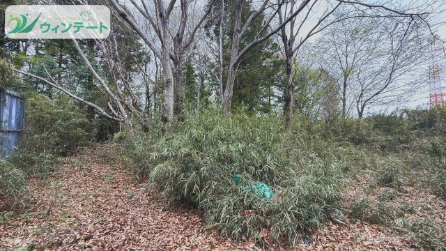資材置き場用地にいかがでしょうか？