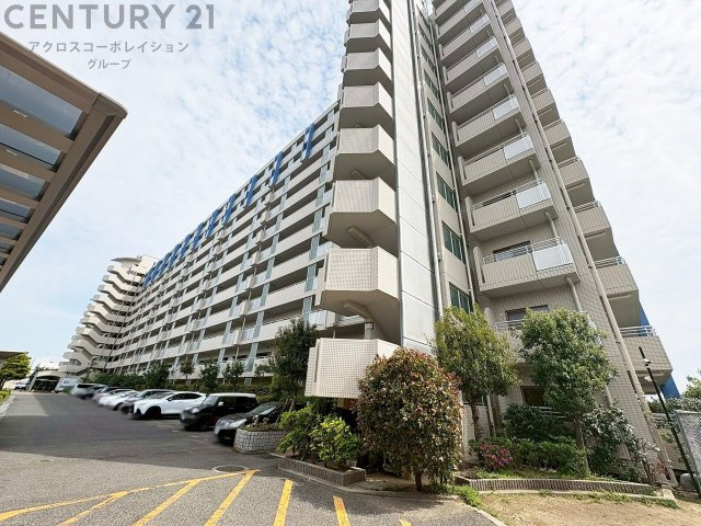 RC造11階建て