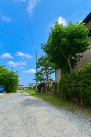 ※　写真は一部画像加工（明るさ調整等）を行っています