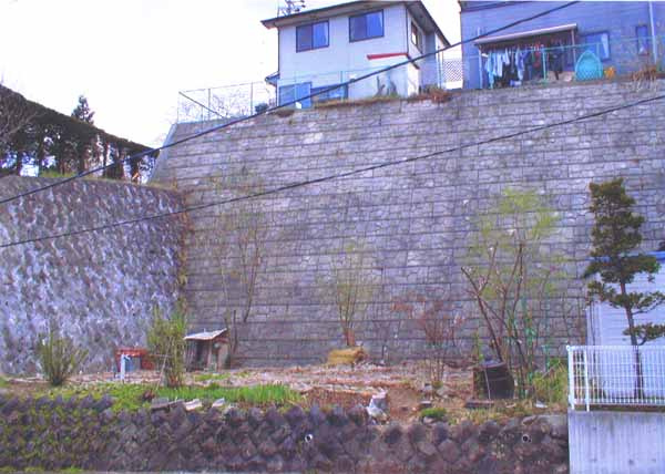 外観：320000026816