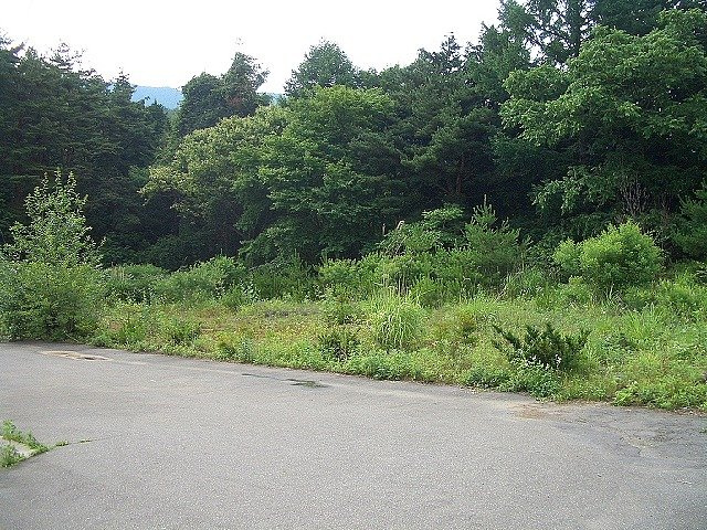 外観：320000026925