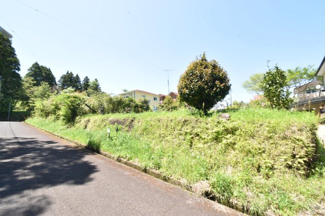 外観：346000037915