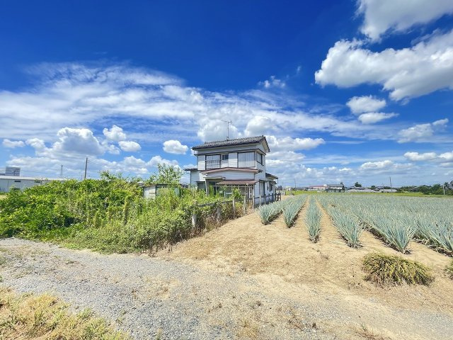令和5年8月撮影
