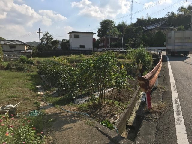 外観：330000084366