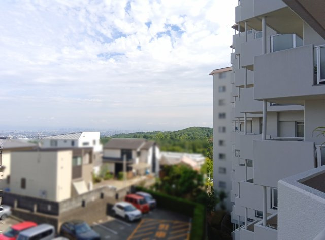 展望
