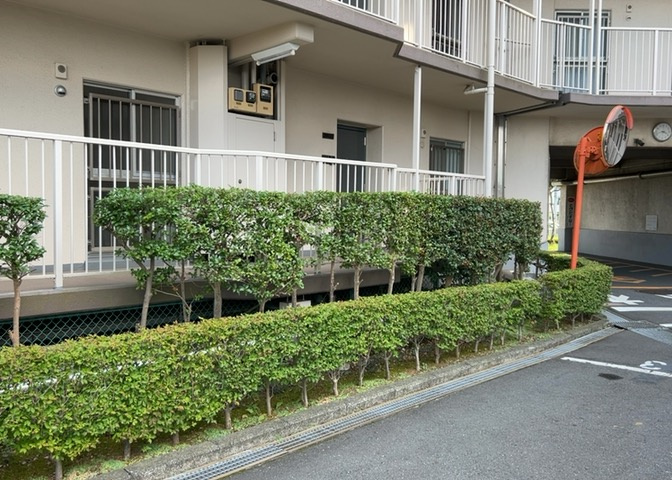 共用部分は、一棟の建物に住む区分所有者全員が共同で所有するとし、共用部分の管理、補修などは、区分所有者で形成される管理組合が行います。個人の判断で勝手に変更することはできませんので覚えておきましょう。