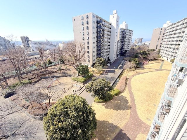 展望