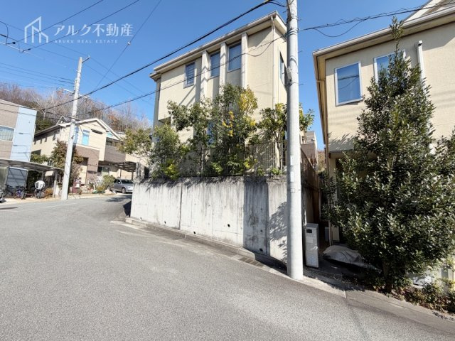 2026年3月14日撮影