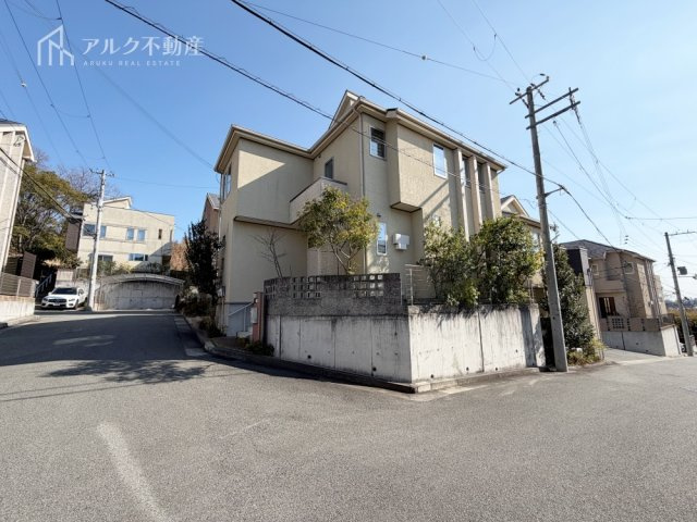 2026年3月14日撮影