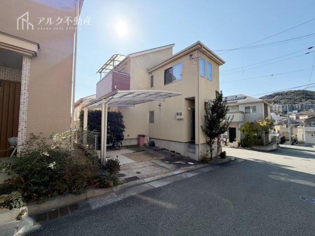 2026年3月14日撮影