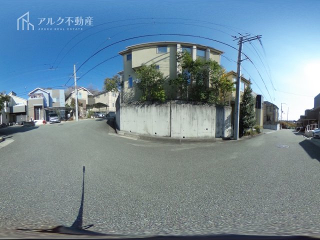 2026年3月14日撮影