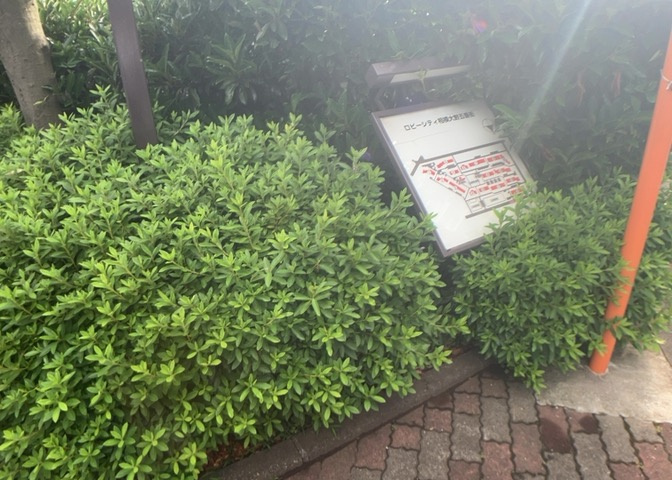 物件によっては、入居者が個人的に使用できる専用庭がついているものもあります。また、住宅の中にある土間の部分を庭と呼ぶこともあります。庭の用途は住む人によって変わり、それによってデザインもさまざまです。