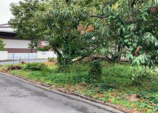 家を建てる前提で土地を探している場合、地盤の丈夫さは譲れない条件の一つです。地盤が脆弱だと追加工事が必要となります。また、過去に地盤沈下や液状化現象を起こした土地は、できるだけ避けた方がいいでしょう。