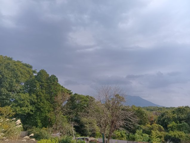 展望