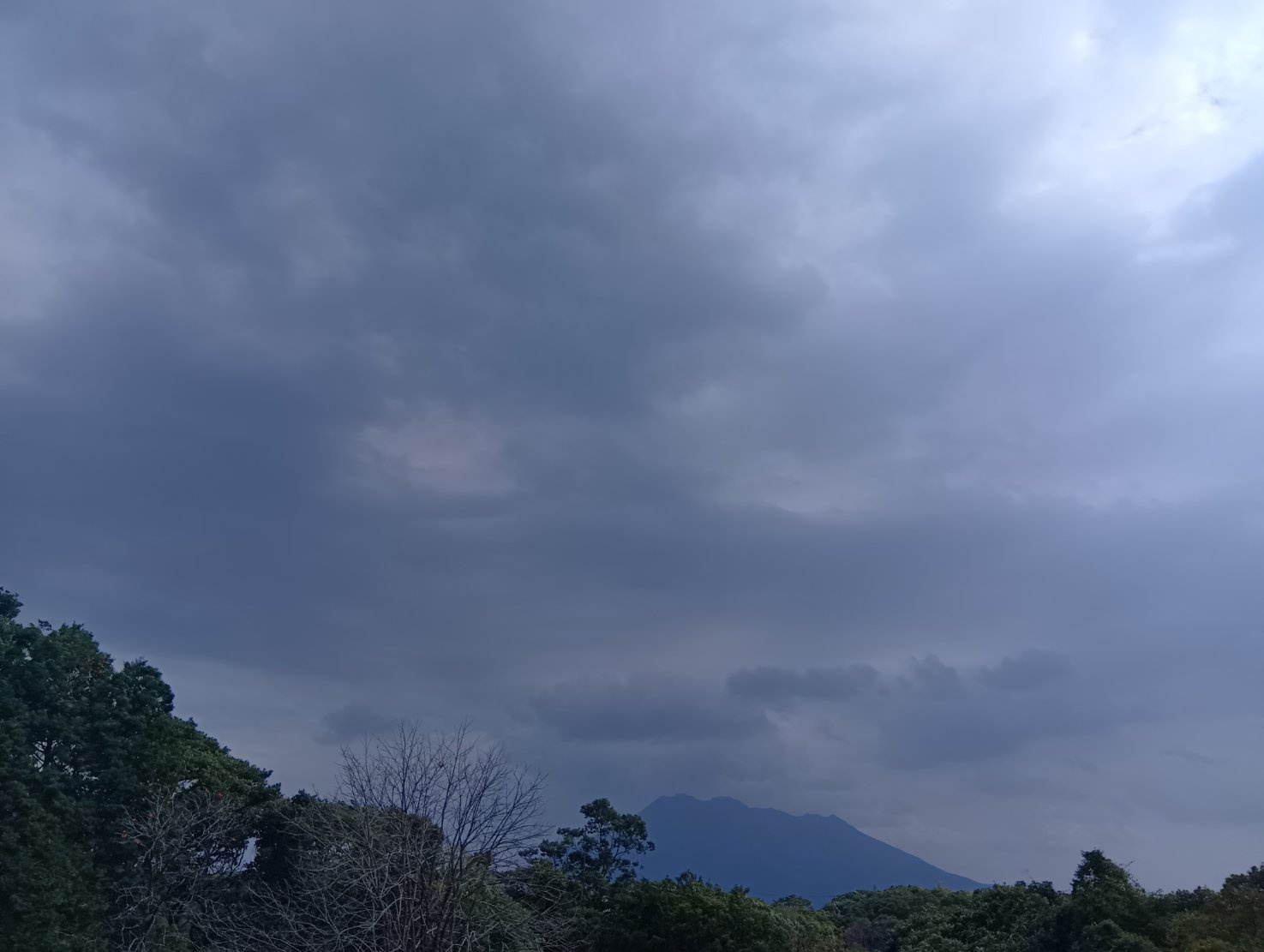 展望