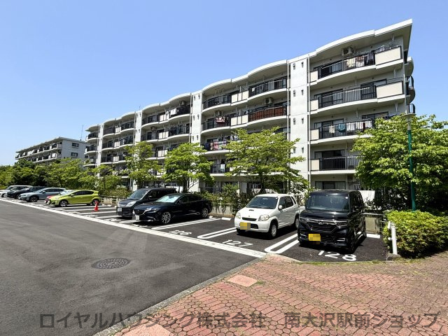 外観：313004690391