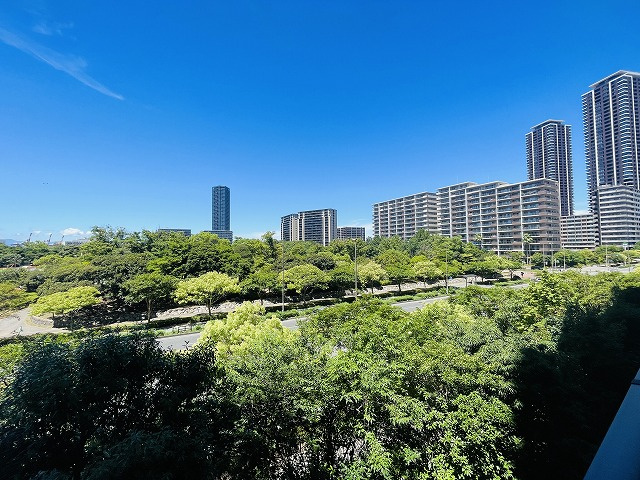展望
