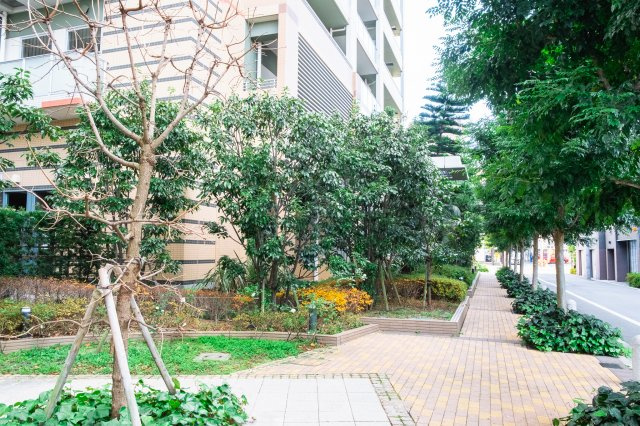 【物件周辺】都心の喧騒を忘れさせてくれる、穏やかな緑。歩道もきれいに舗装・管理されています！