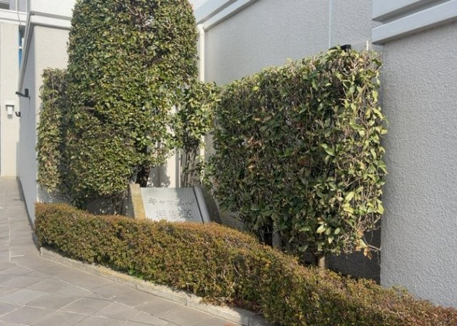 物件によっては、入居者が個人的に使用できる専用庭がついているものもあります。また、住宅の中にある土間の部分を庭と呼ぶこともあります。庭の用途は住む人によって変わり、それによってデザインもさまざまです。