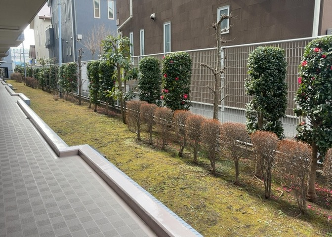 中庭（パティオ）とは、一つの建築物の内部に設けられた、壁などで囲われている庭のことを指します。コの字型、ロの字型が主流ですが、L字型の中庭もあります。最近では、インテリア性の高さからも人気があります。