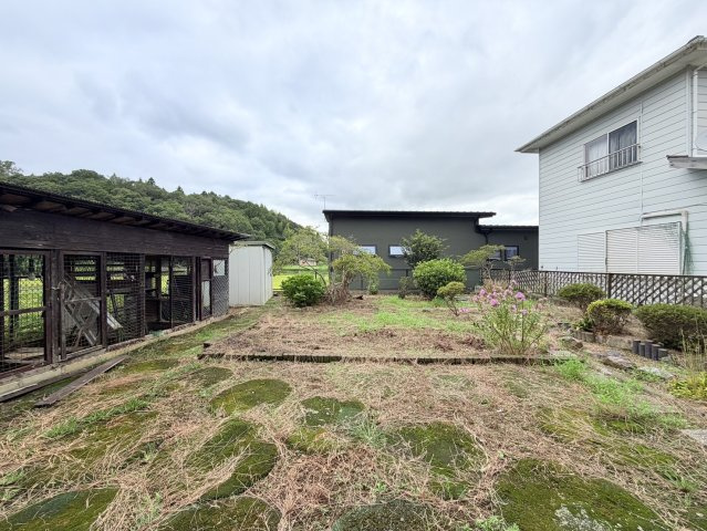 庭