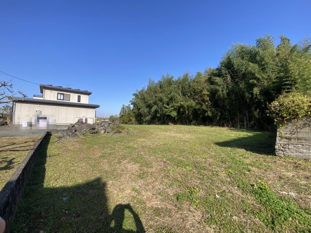 外観：343000087000