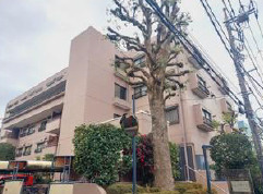 外観：313004668463