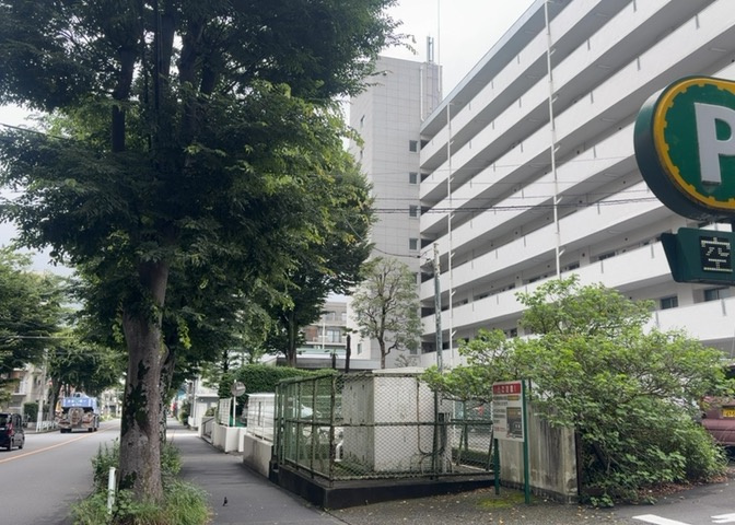 外観：313004785374
