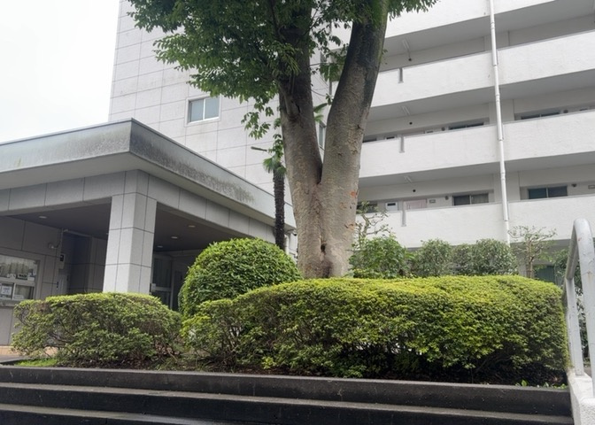 中庭（パティオ）とは、一つの建築物の内部に設けられた、壁などで囲われている庭のことを指します。コの字型、ロの字型が主流ですが、L字型の中庭もあります。最近では、インテリア性の高さからも人気があります。