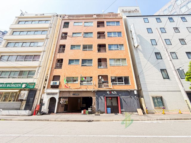 外観：313004694258