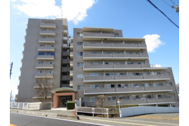 リバーサイド川越の外観