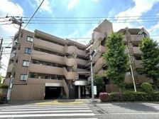 外観：313004442338