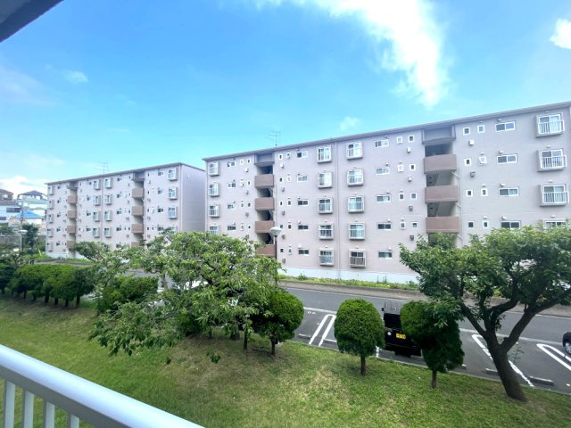 展望