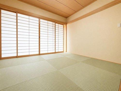 室内（2026年6月）撮影