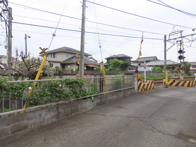 展望