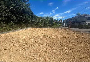 外観：313004679423