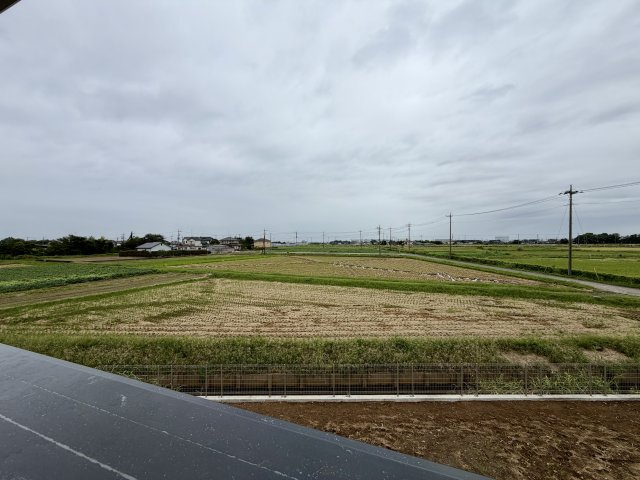 展望