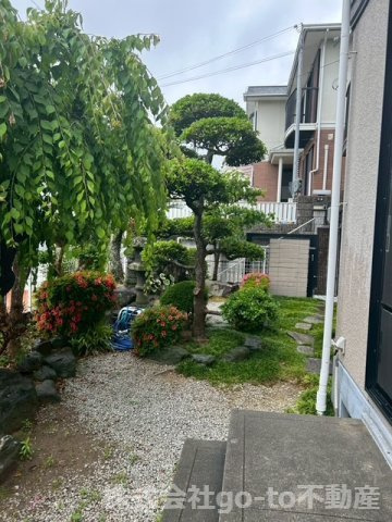 庭