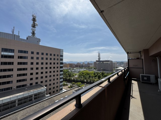 展望