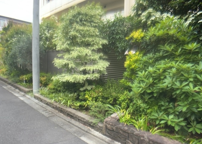 中庭（パティオ）とは、一つの建築物の内部に設けられた、壁などで囲われている庭のことを指します。コの字型、ロの字型が主流ですが、L字型の中庭もあります。最近では、インテリア性の高さからも人気があります。