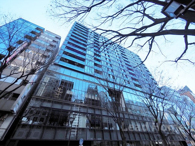 外観：313004649229