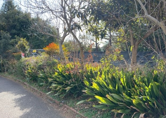土地の面積＝住宅面積ではありません。建ぺい率の問題などで、土地のある場所によって住宅を建てられる面積は限られています。高さもしかり、「土地」という言葉の中には、建築条件も含まれると考えておきましょう。