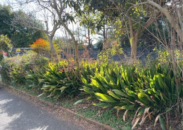 外観：314002613196